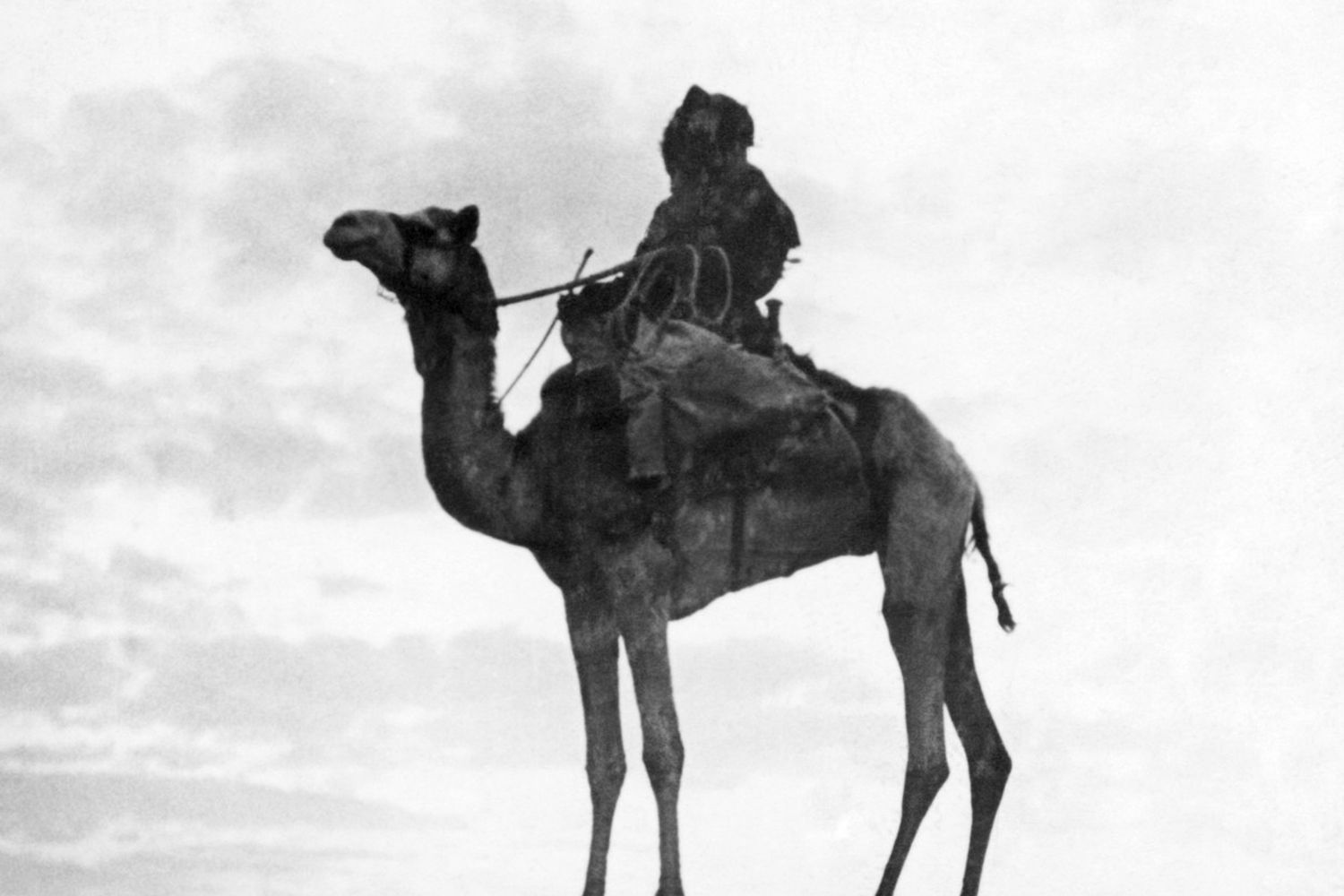 &nbsp;Beduino palestinese nel 1946