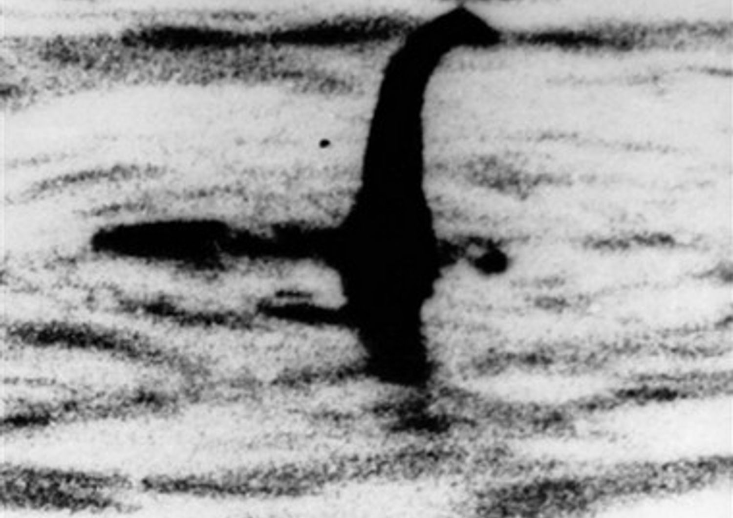 &nbsp;Il mostro di Loch Ness?