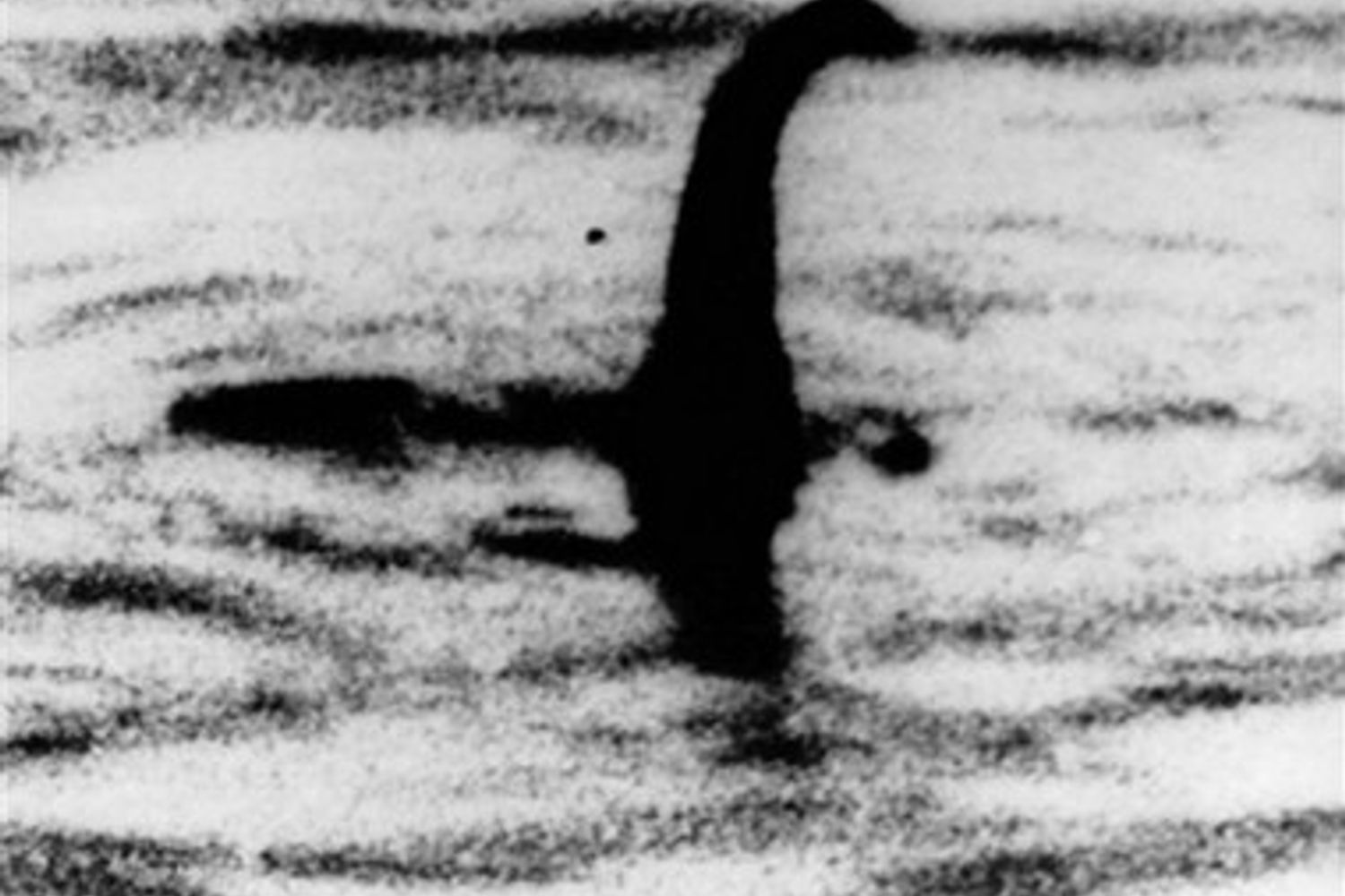 &nbsp;Il mostro di Loch Ness?