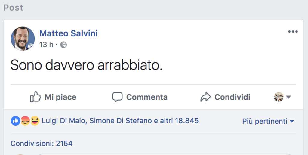Uno screenshot dalla pagina Facebook di Matteo Salvini