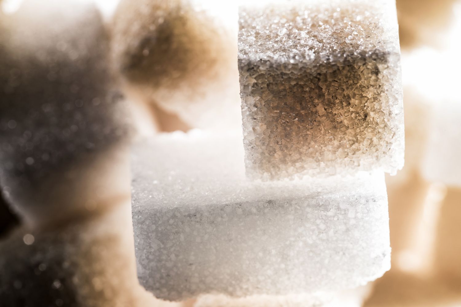 &nbsp;Zucchero bianco e zucchero di canna