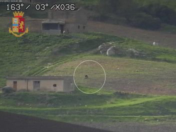 Masseria Vito Gondola, fermo posta pizzini Matteo Messina Denaro&nbsp;