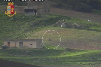 Masseria Vito Gondola, fermo posta pizzini Matteo Messina Denaro&nbsp;