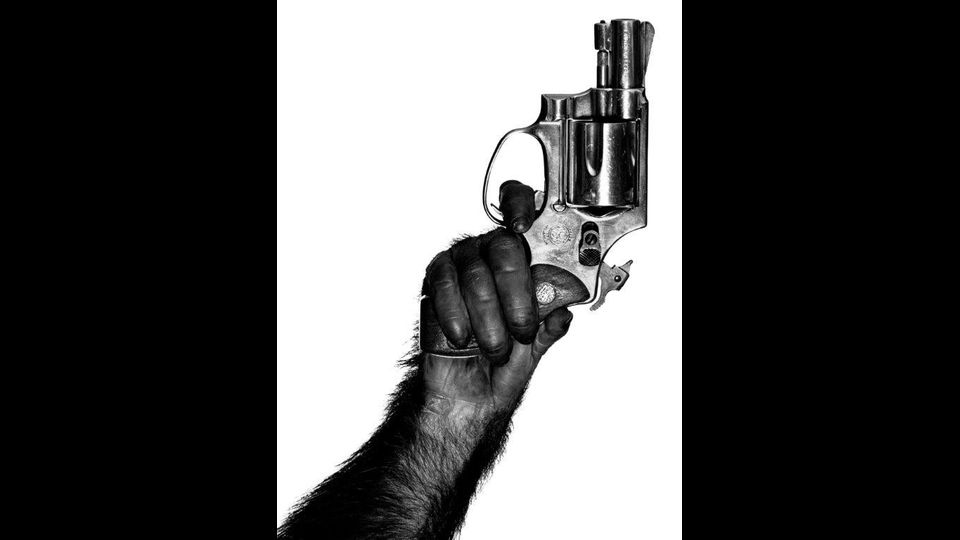 &nbsp;MonkeyWithGun NewYorkCity 1992 platinum