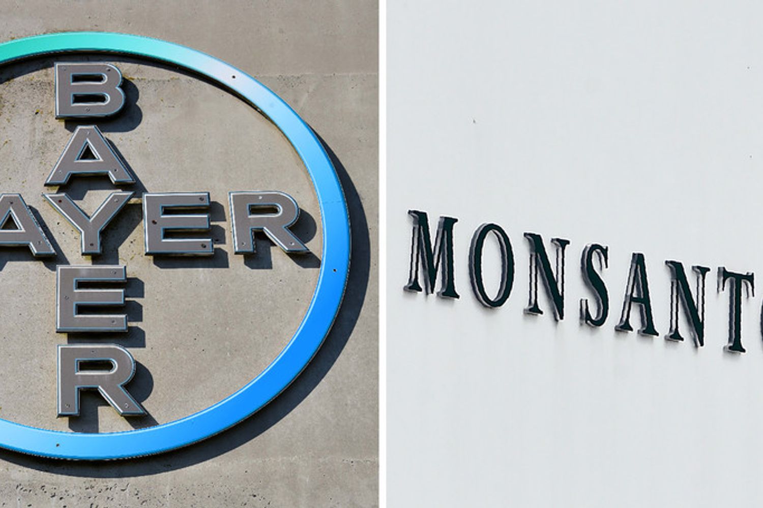 &nbsp;Bayer Monsanto