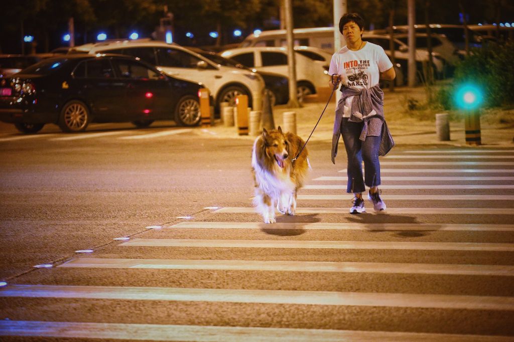 &nbsp; Strisce pedonali 'intelligenti' in usa a Pechino