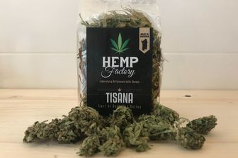 Tisana Hemp con fiori di cannabis