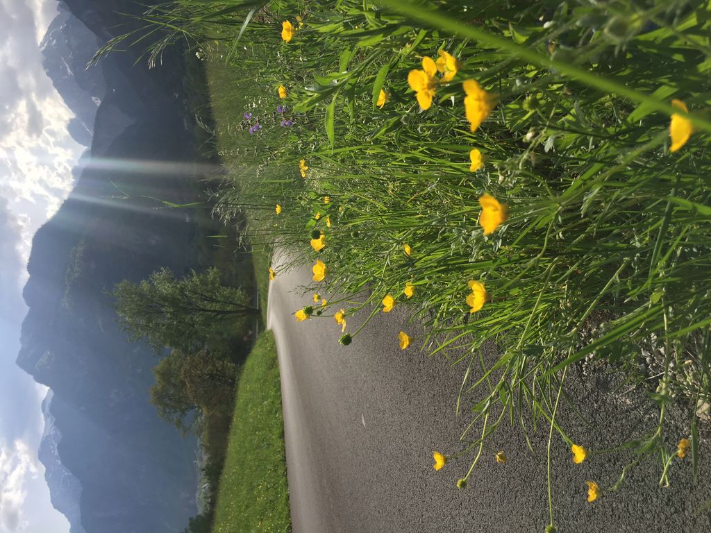 &nbsp; Ciclabile del Piave