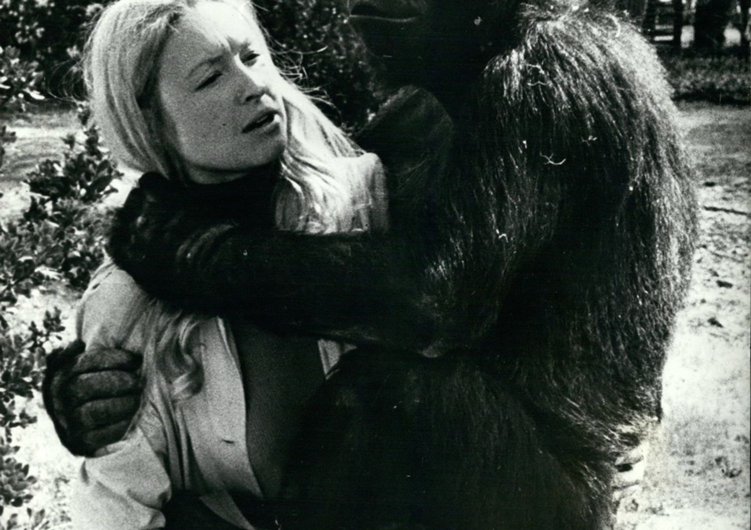 &nbsp;Francine Patterson e Koko in uno scatto del 1972