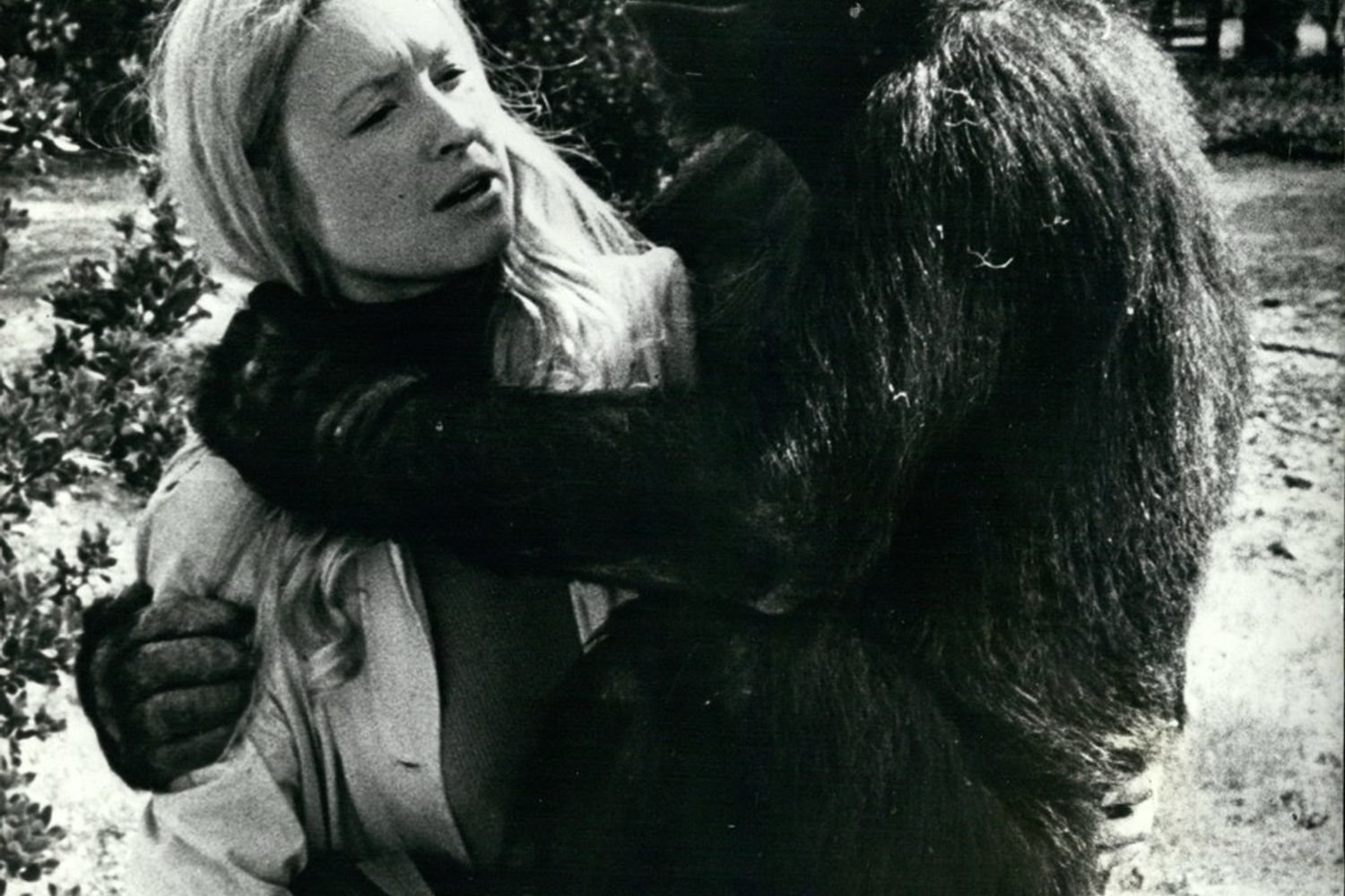 &nbsp;Francine Patterson e Koko in uno scatto del 1972