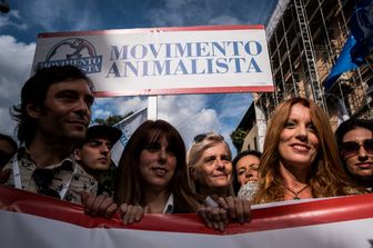 movimento animalista