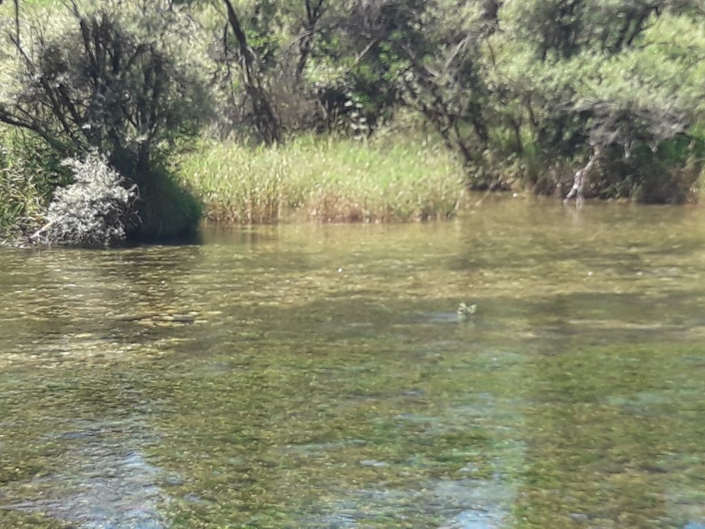 &nbsp; Ciclabile del Piave