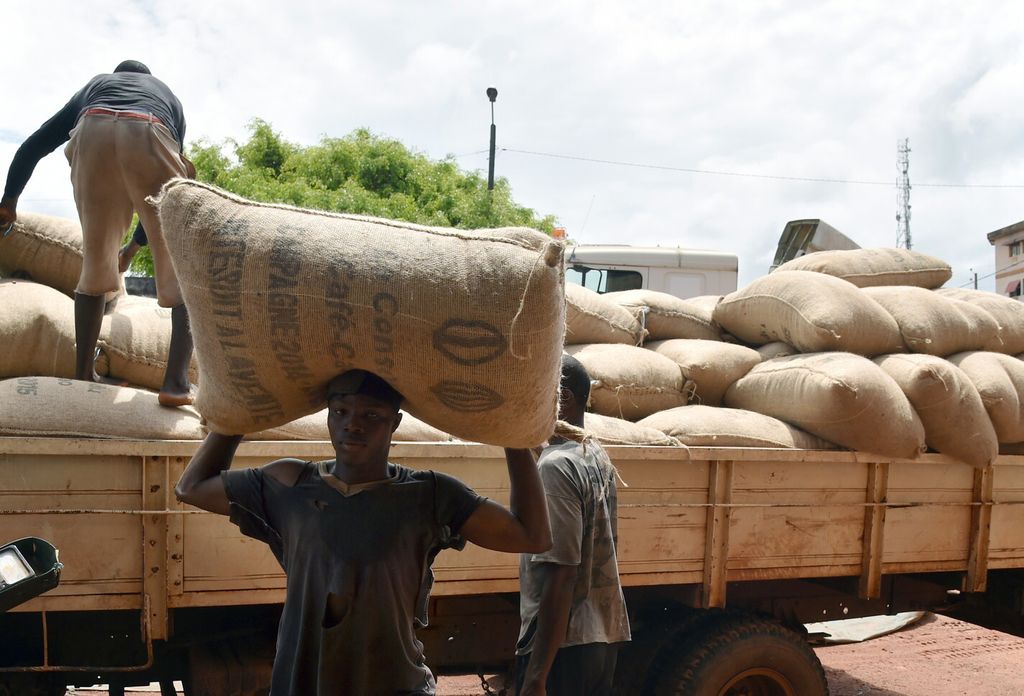 Raccolta cacao in Costa d'Avorio (Afp)&nbsp;