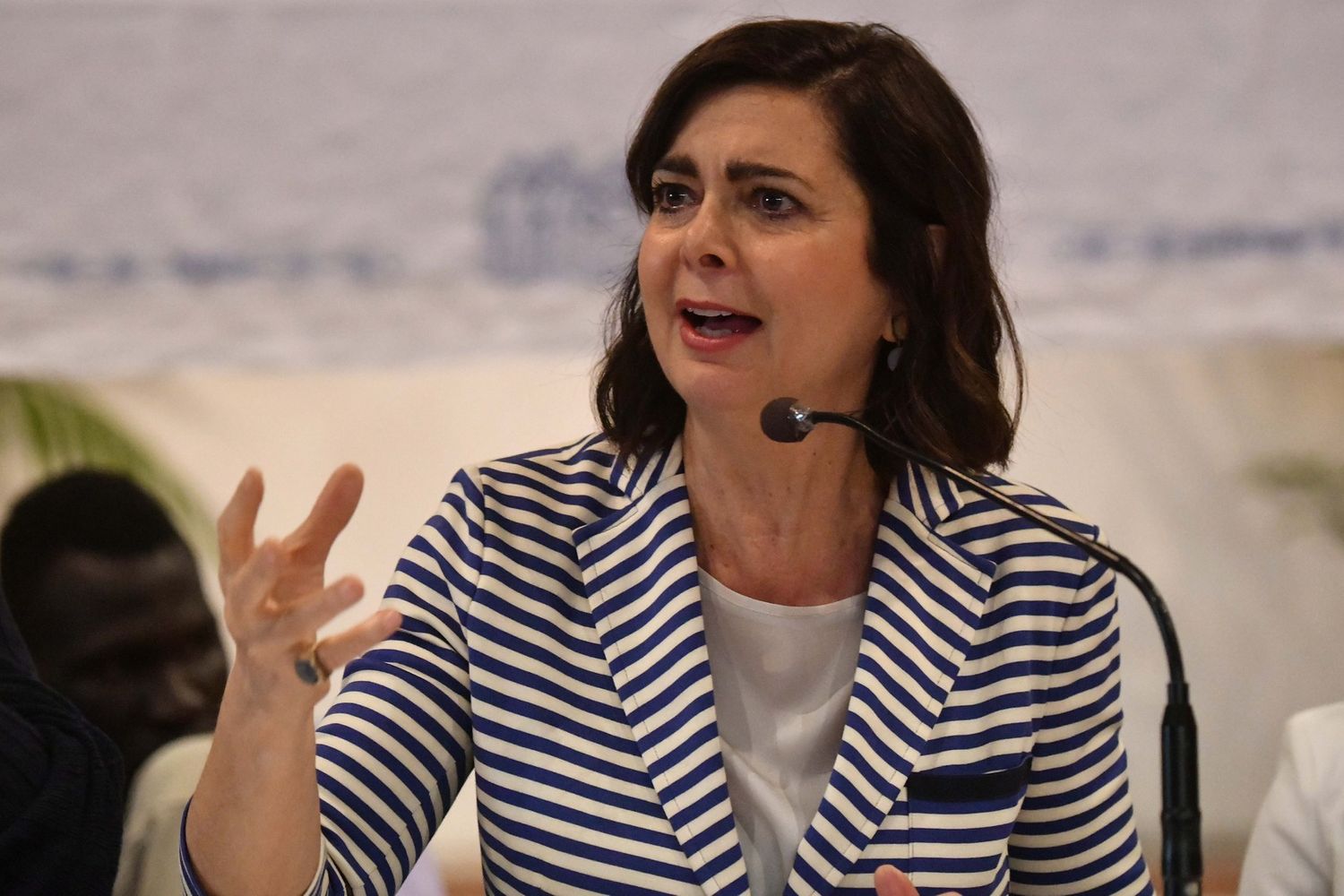 &nbsp;Laura Boldrini