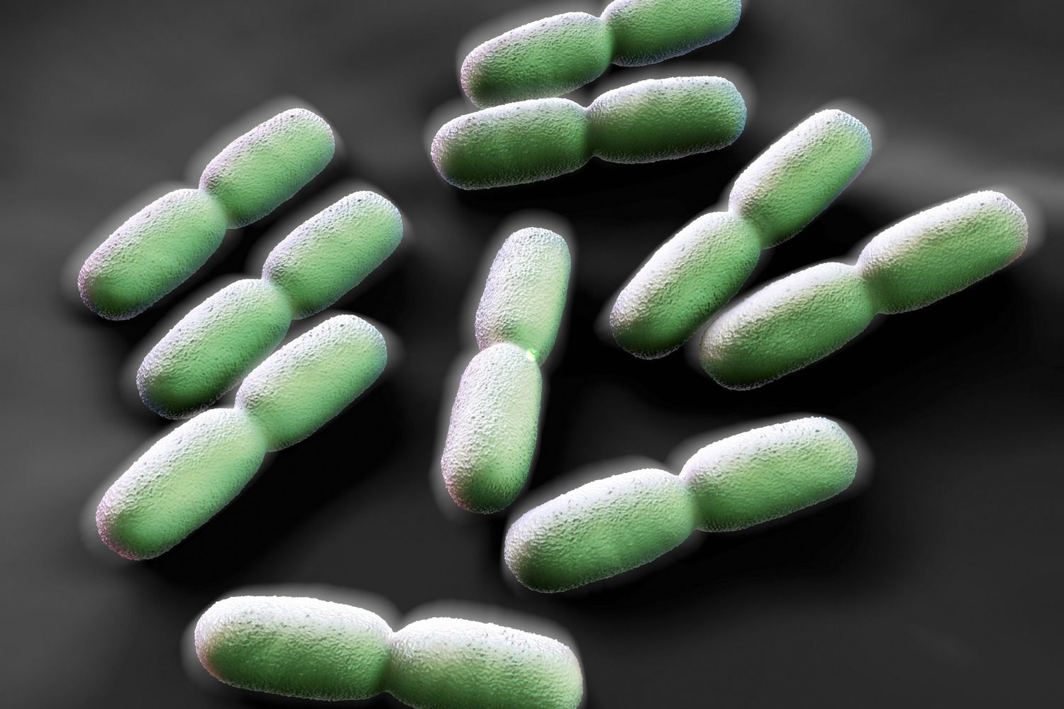 &nbsp;Listeria, Listeriosi