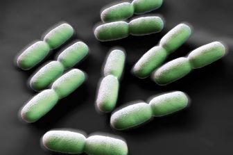 &nbsp;Listeria, Listeriosi