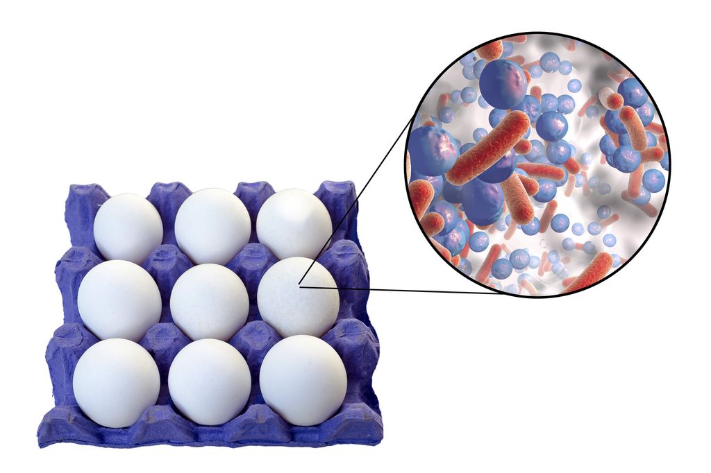 &nbsp; Listeria, Listeriosi
