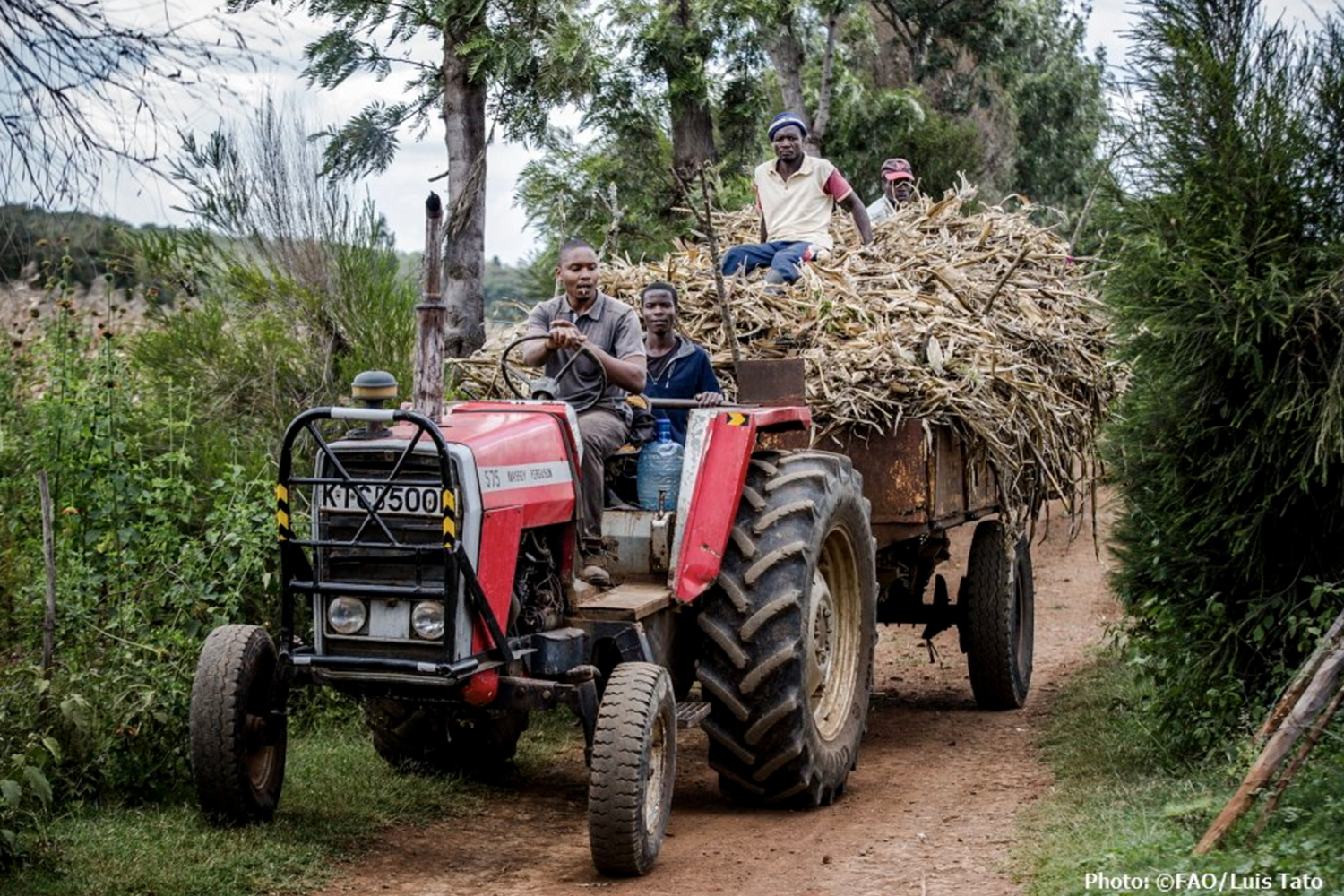 &nbsp;Paesi in via di sviluppo - Immagine Fao