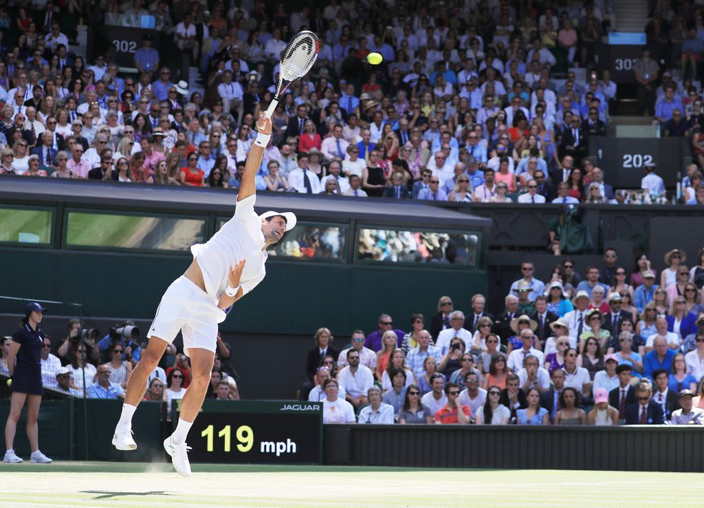 &nbsp; Novak Djokovic