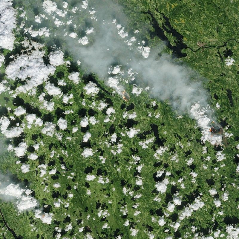 Una veduta aerea dei roghi in una foresta svedese