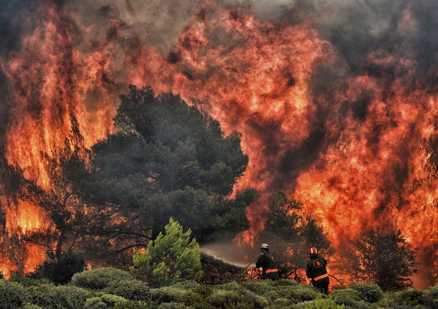 &nbsp;L'incendio che ha devastato i boschi di Kineta, in Grecia