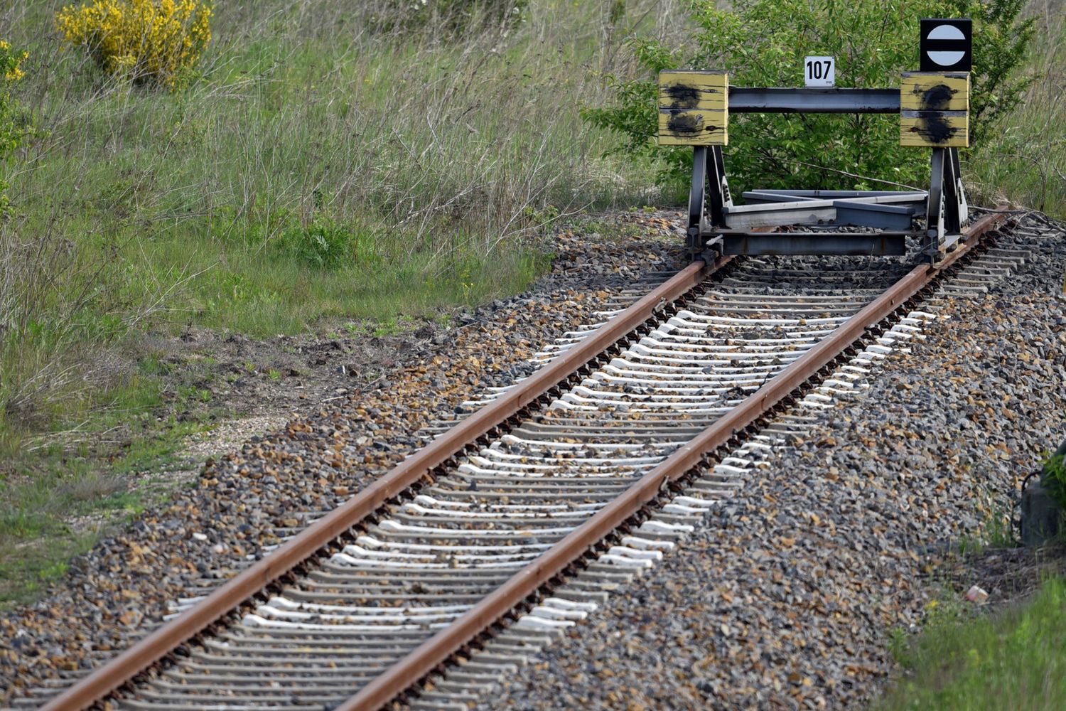 &nbsp;Un binario morto