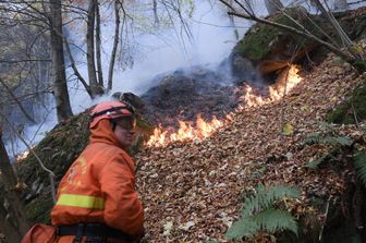 incendi italia grecia&nbsp;