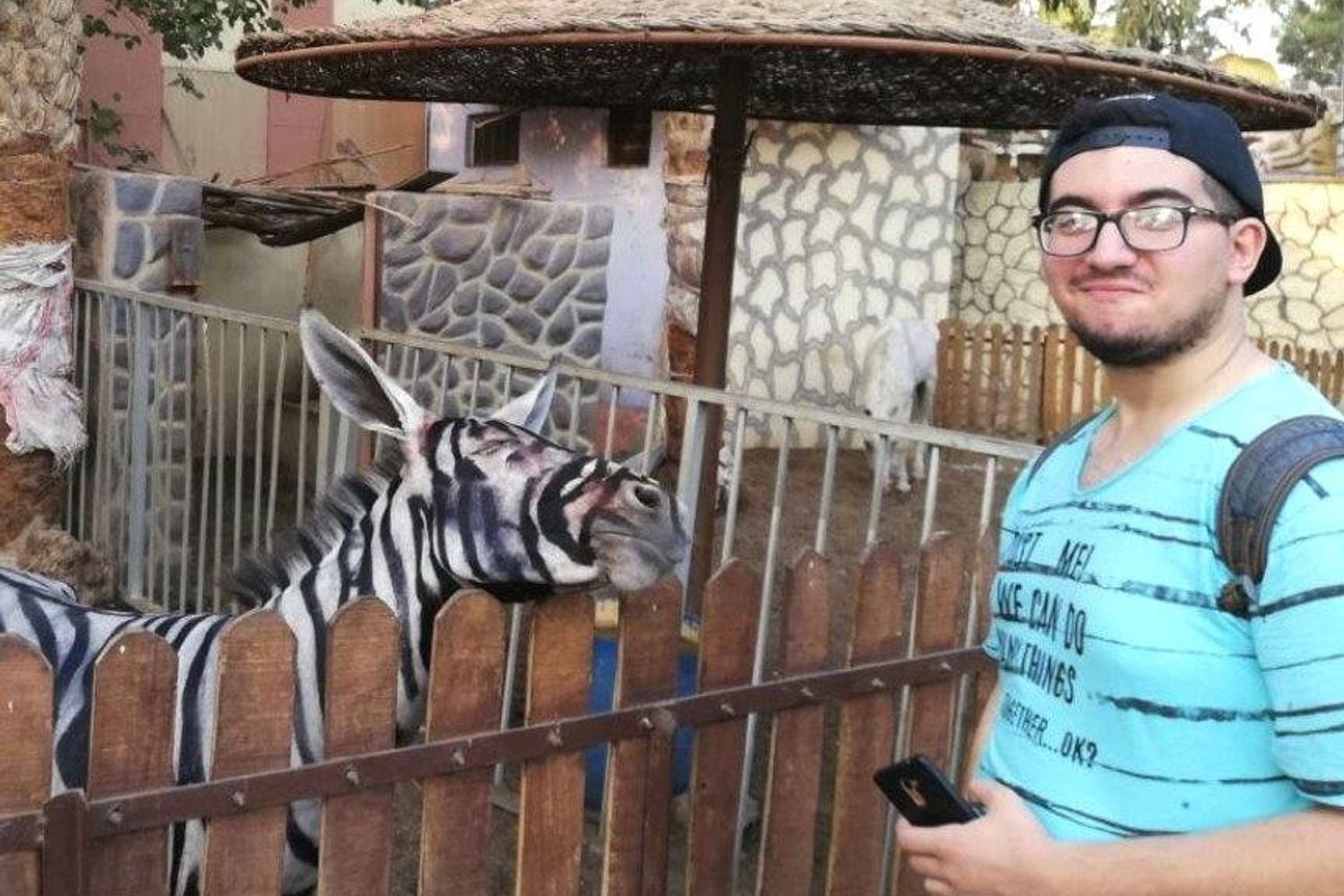 &nbsp;Zebra