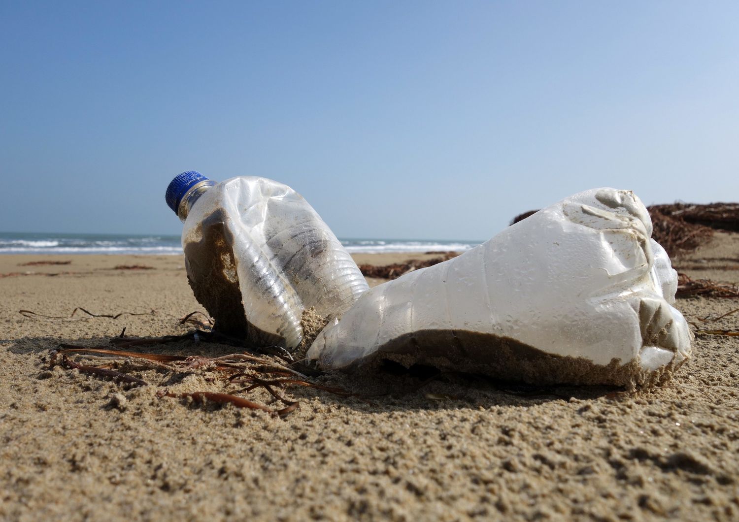 Plastica abbandonata e olio esausto, il vero stato delle nostre spiagge. Un rapporto