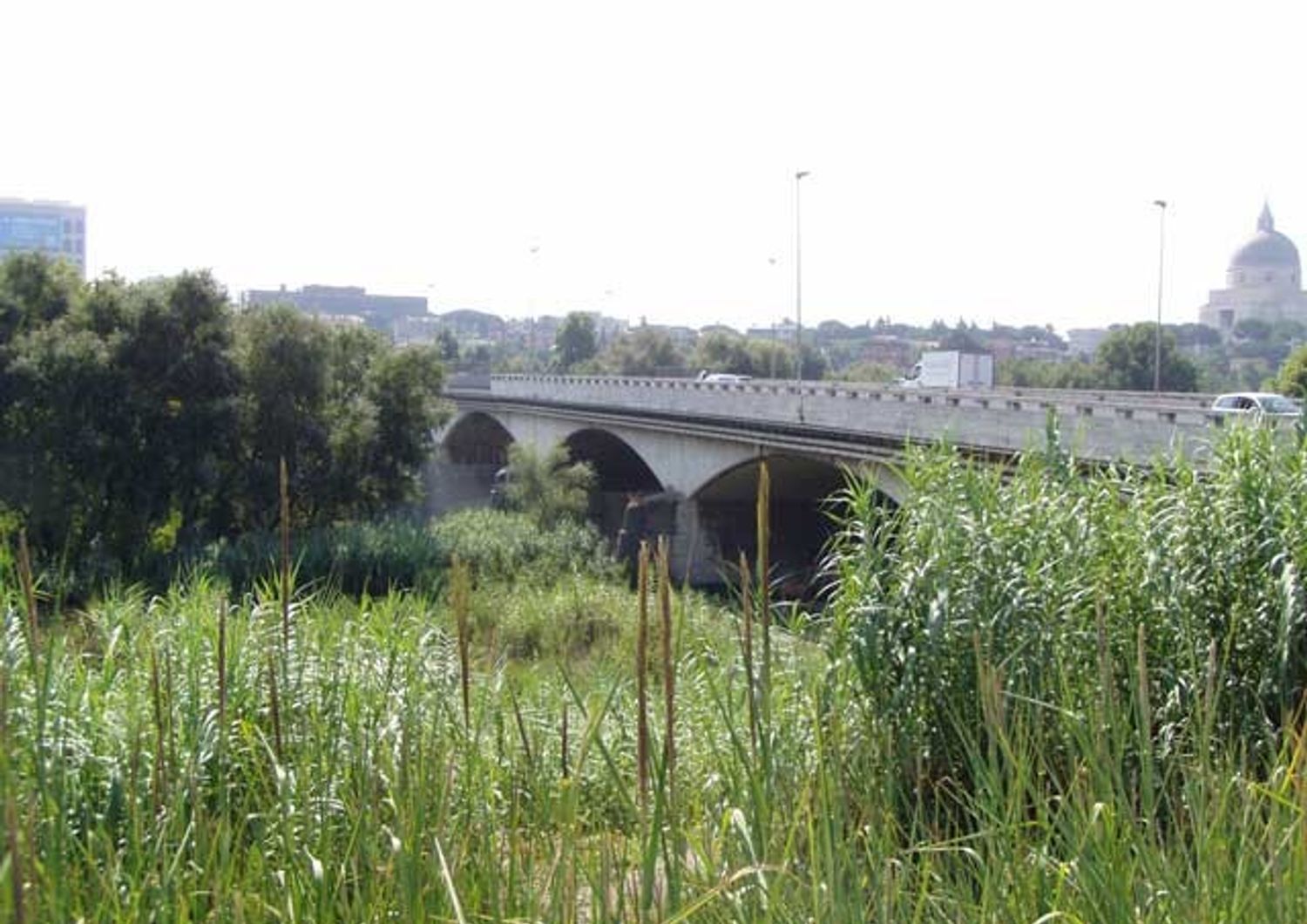 &nbsp;Ponte della Magliana Roma