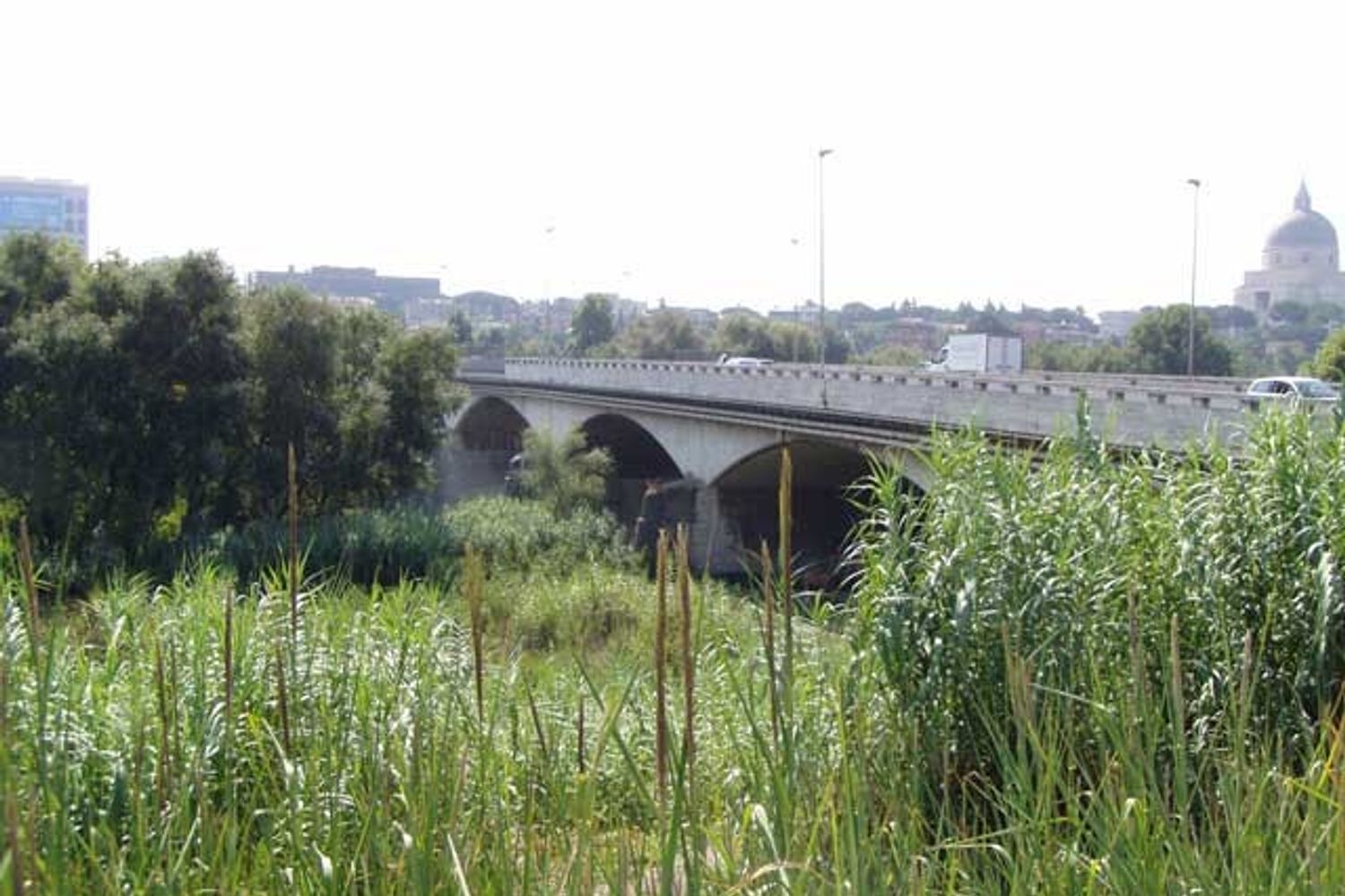 &nbsp;Ponte della Magliana Roma