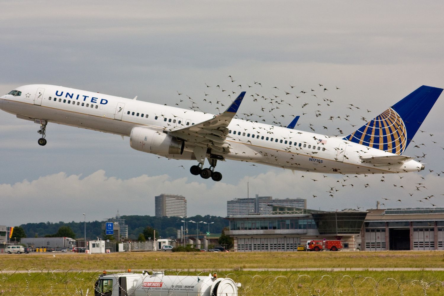 &nbsp;Birdstrike&nbsp;