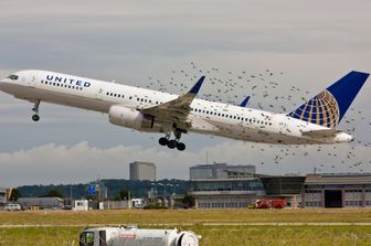 &nbsp;Birdstrike&nbsp;