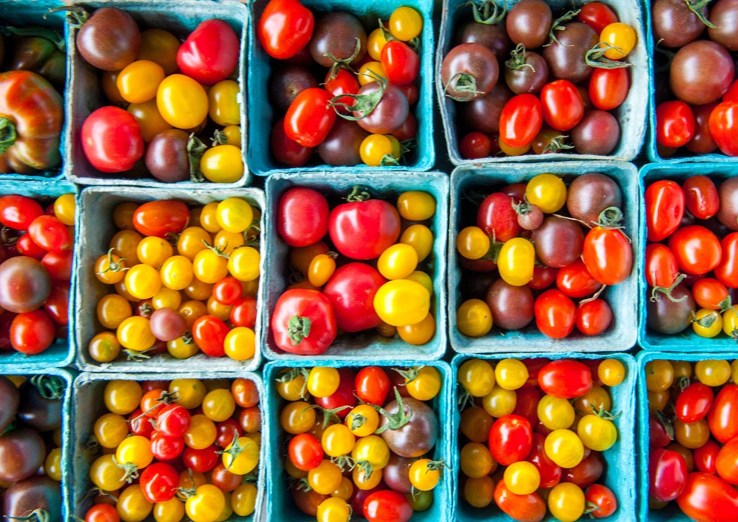 &nbsp;Variet&agrave; di pomodoro