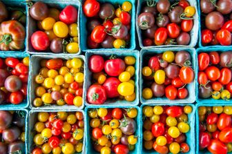 &nbsp;Variet&agrave; di pomodoro