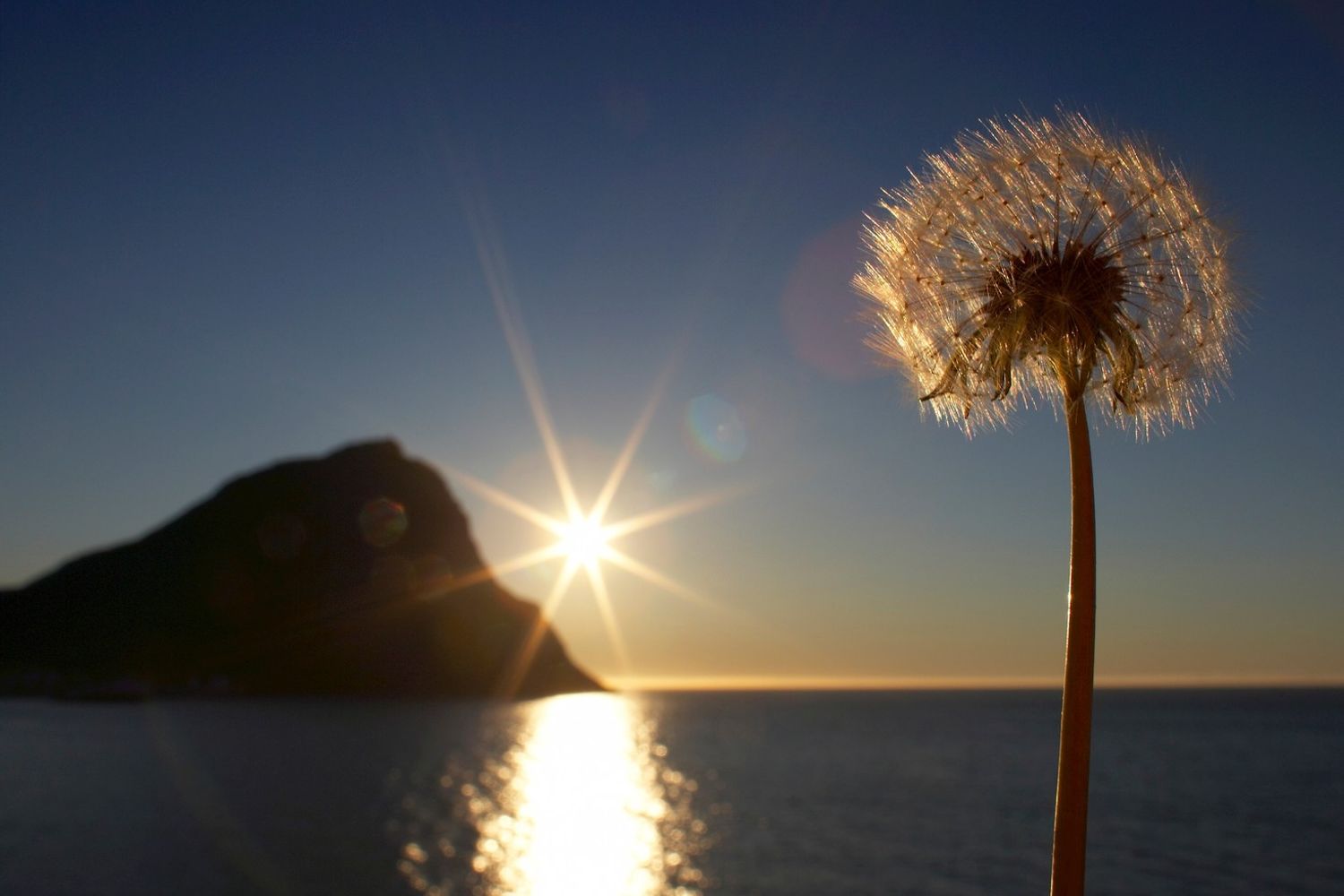 Sole di mezzanotte (Agf)&nbsp;