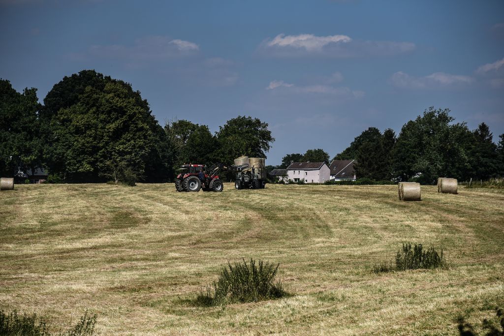 &nbsp;campo agricolo (AFP)