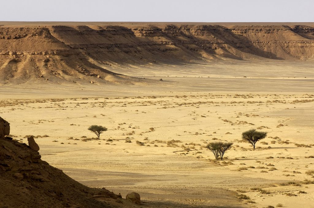 &nbsp; Deserto del Sahara