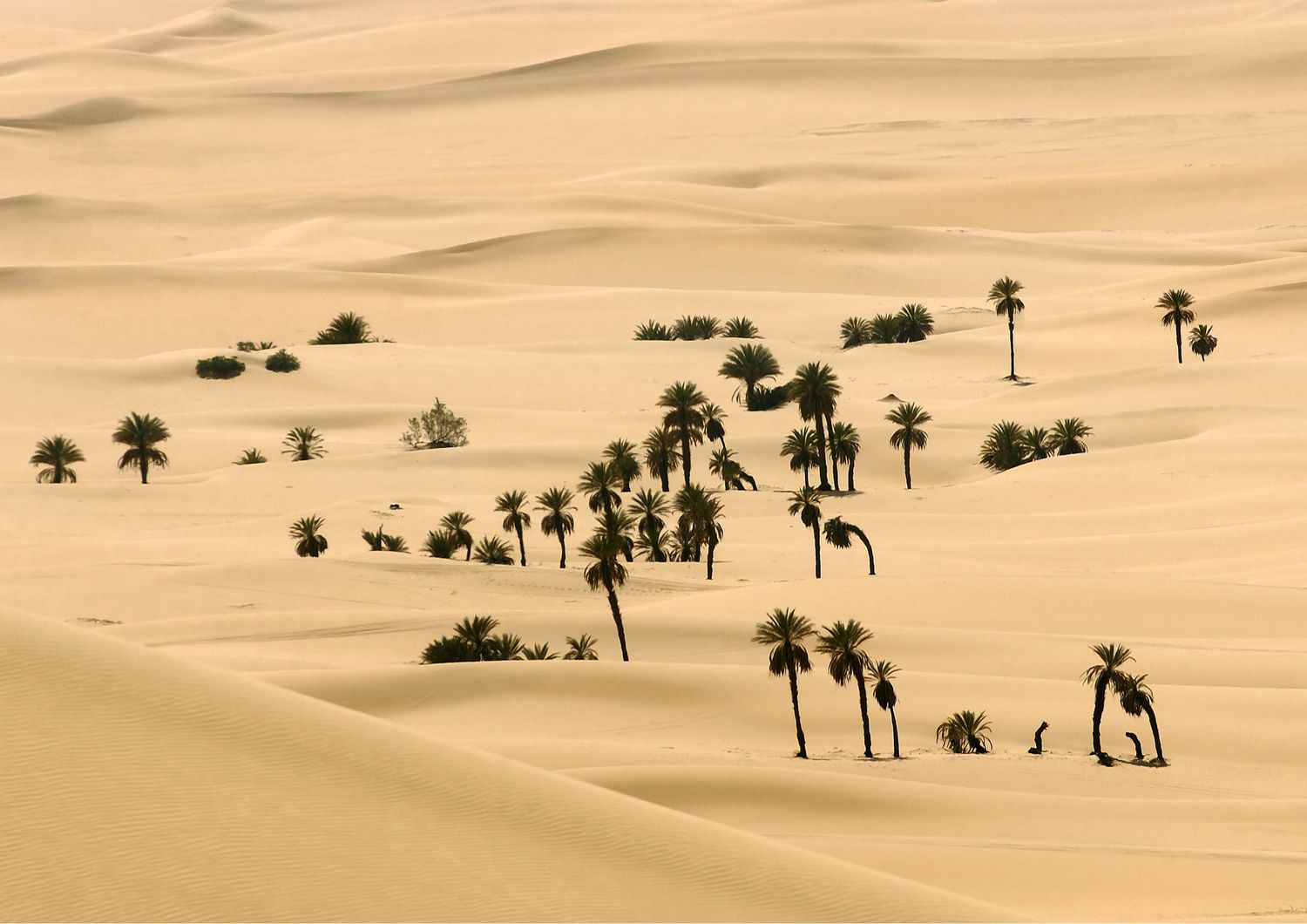 &nbsp;Deserto del Sahara