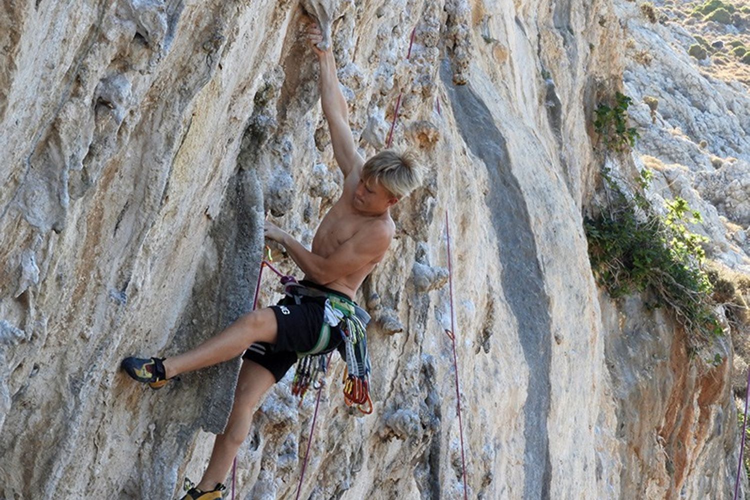 &nbsp;&nbsp;Igor Maj