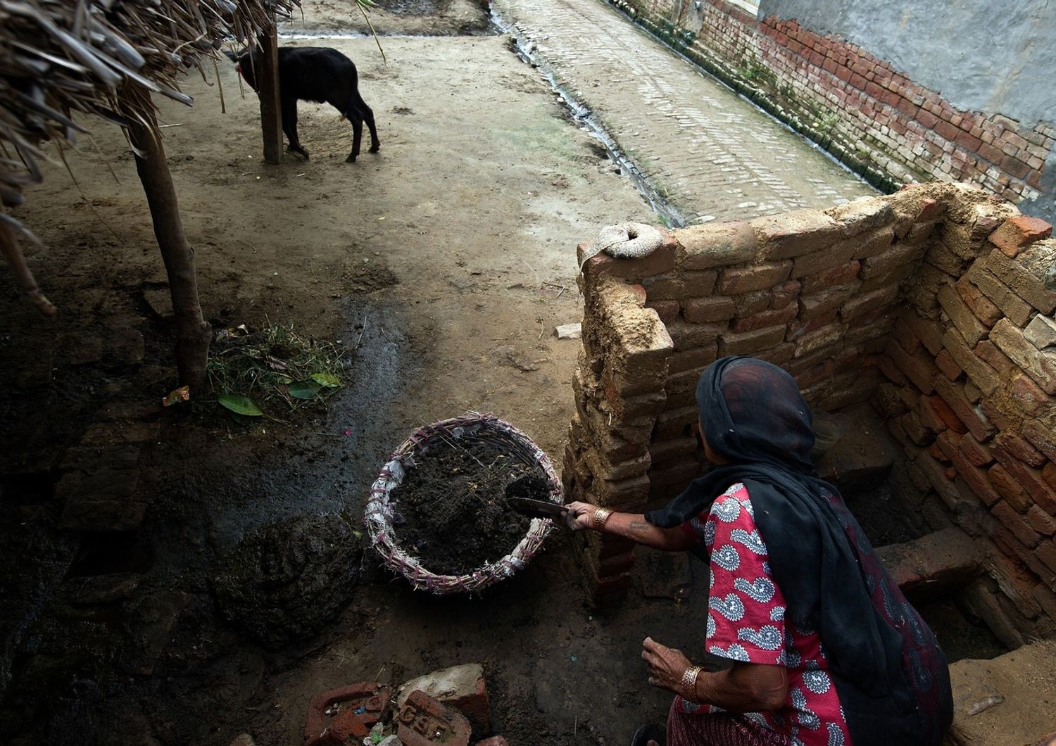 &nbsp;Una donna raccoglie escrementi da una latrina in India