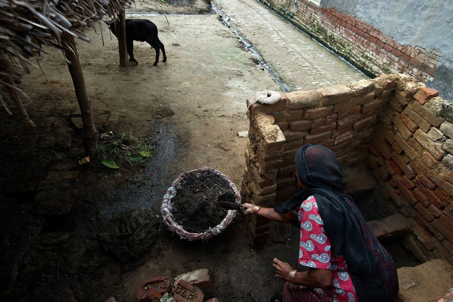&nbsp;Una donna raccoglie escrementi da una latrina in India