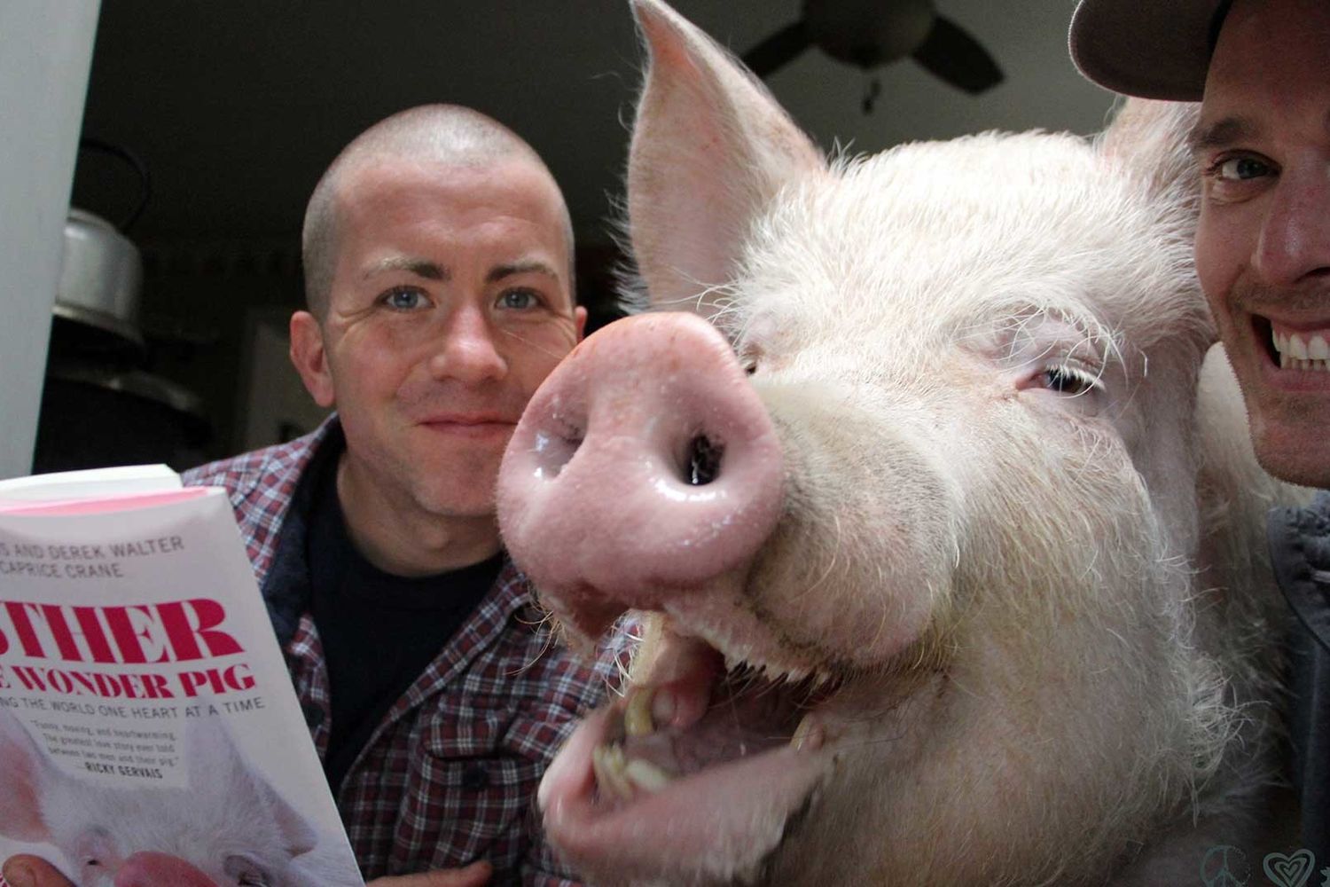 &nbsp;Esther The Pig