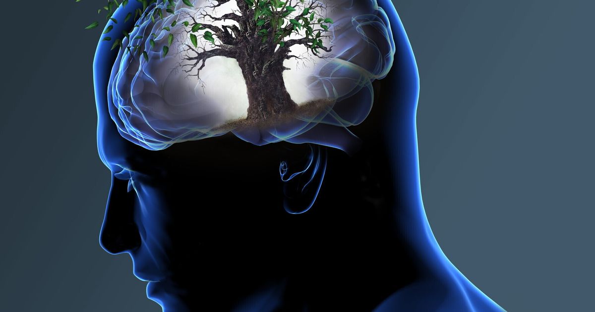 Un dispositivo medico IA predice l