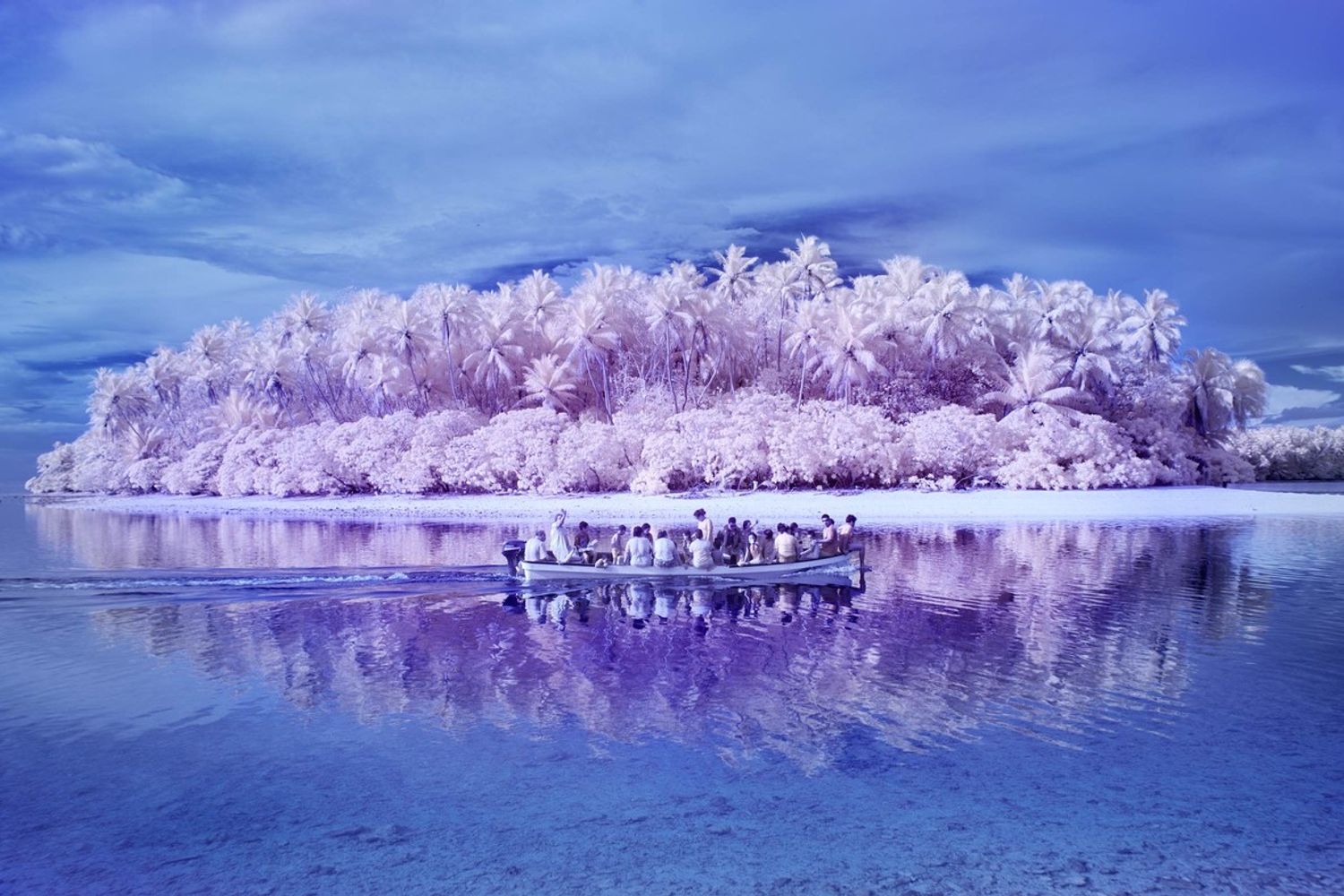 &nbsp; Cortona on the move