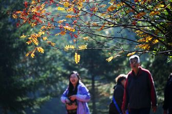 A passeggio nel parco per cercare moglie ai figli single: un fenomeno tutto cinese