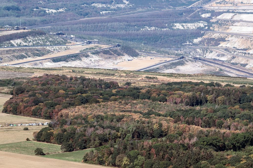 &nbsp;Foresta di Hambach