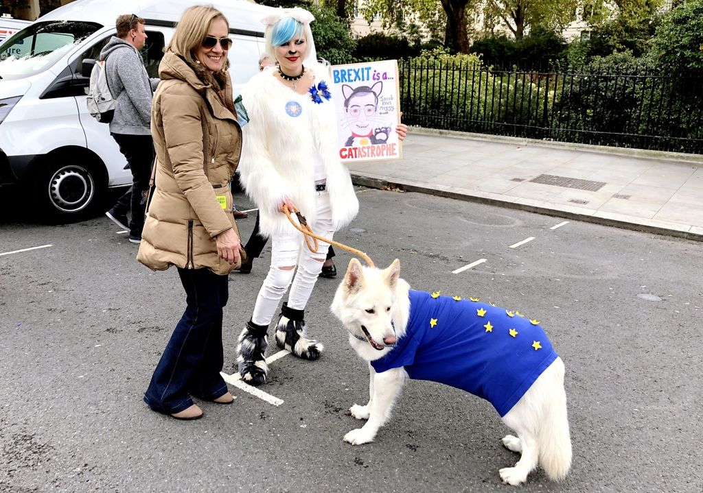 &nbsp;Un momento della manifestazione 'canina' contro la Brexit