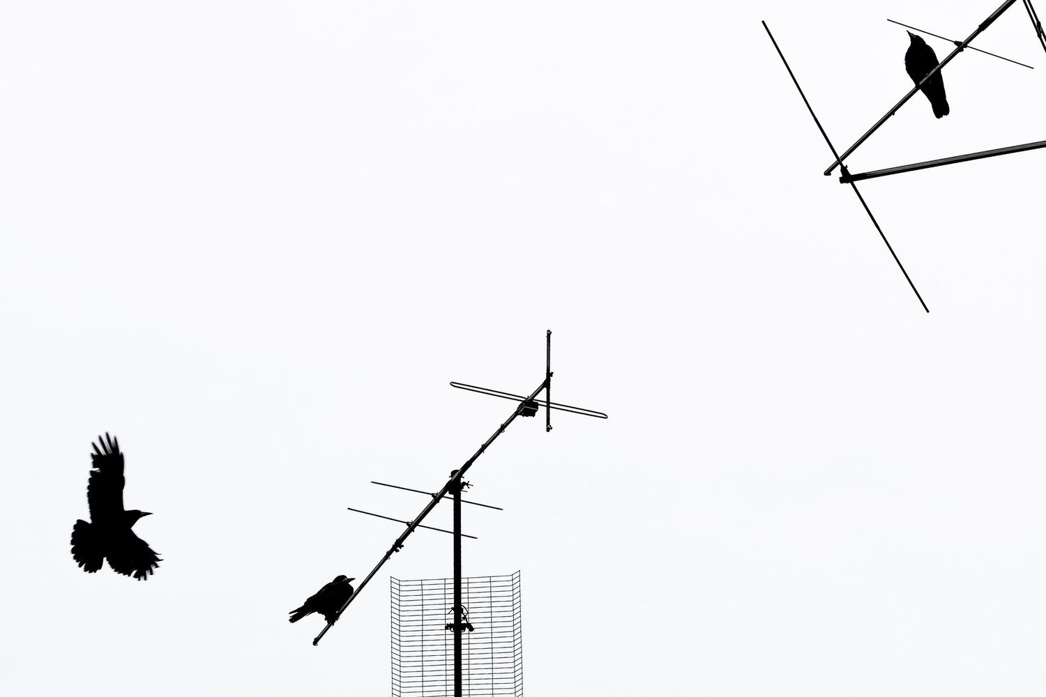 &nbsp;Antenne radio-tv