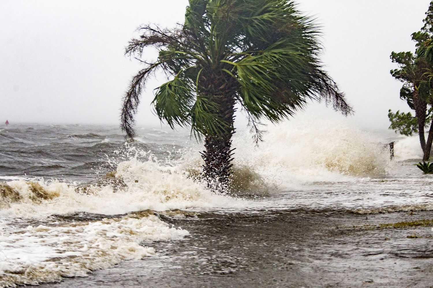 Uragano Michael in Florida&nbsp;